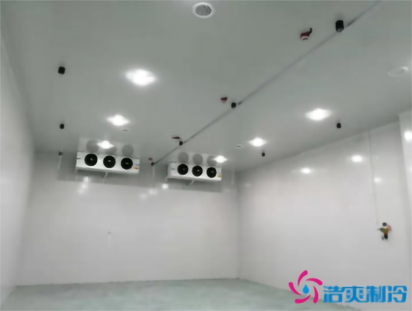 食品冷凍庫建造需要多少成本？_浩爽制冷