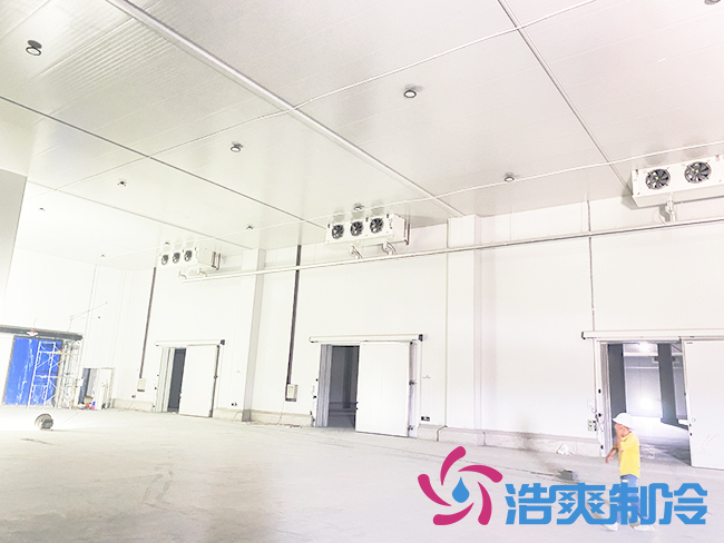 海南建造一個(gè)冷庫需要多少錢？_浩爽制冷