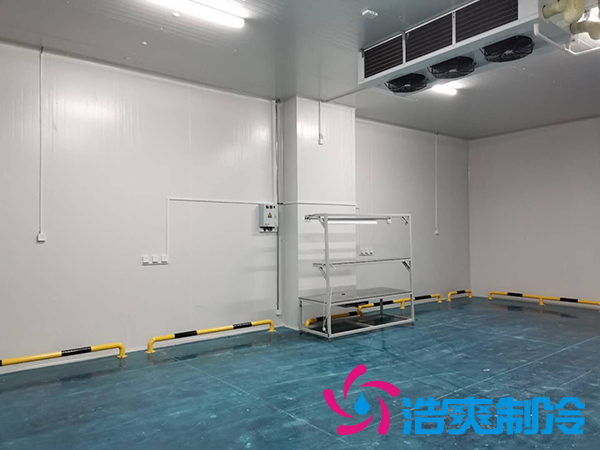 建一個(gè)1000平米蔬菜恒溫庫(kù)成本多少錢(qián)？_浩爽制冷
