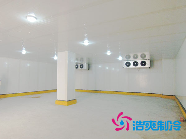 50噸果蔬氣調(diào)庫預(yù)算造價(jià)多少錢？-浩爽制冷