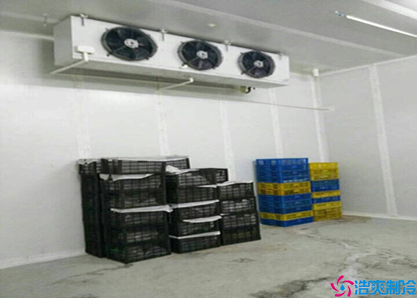 寧夏氣調冷庫如何建造？.jpg
