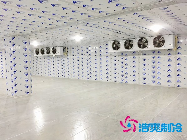 建造一個餐飲雙溫冷庫造價成本需要多少資金？