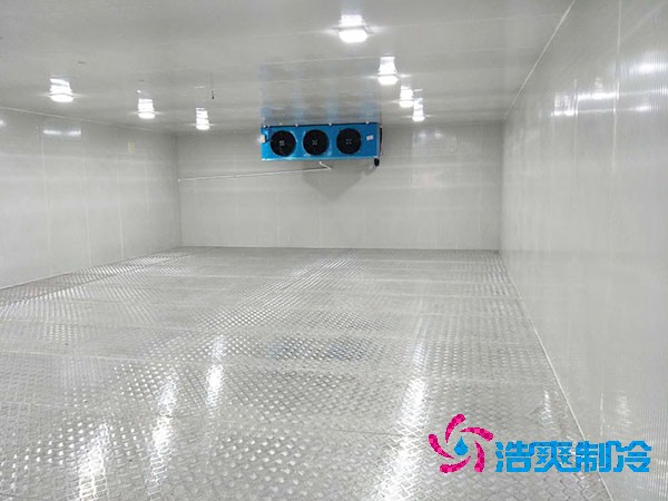 建造一個餐飲雙溫冷庫造價成本需要多少資金？
