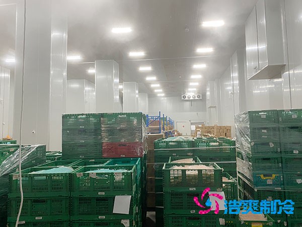 夏季蔬菜保鮮難？500噸冷庫(kù)建造價(jià)格揭秘！