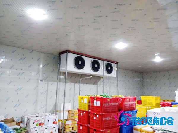 建一個(gè)蔬菜冷庫(kù)造價(jià)需要多少錢？-浩爽制冷